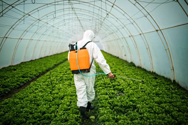 Best Pest Control Near Me  in Crawford, GA