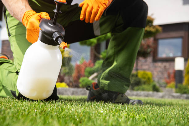 Best Bird Control  in Crawford, GA