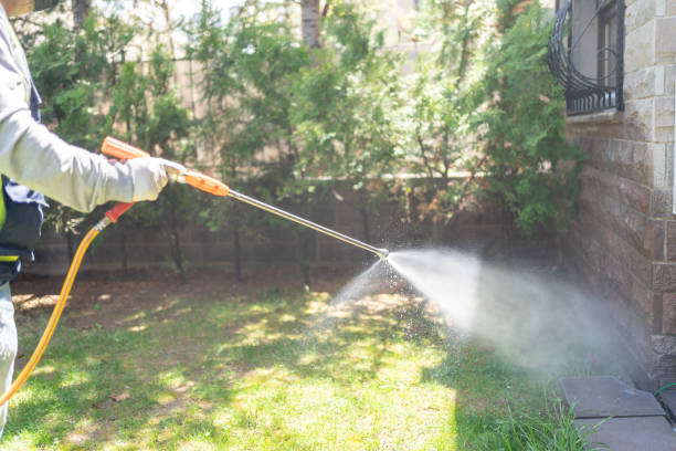Best Flea Control Services  in Crawford, GA