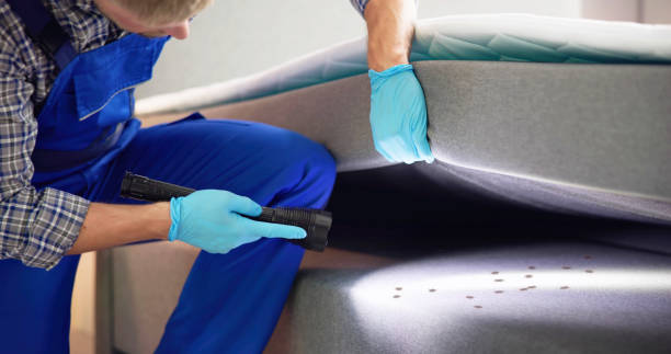 Best Pest Prevention Services  in Crawford, GA