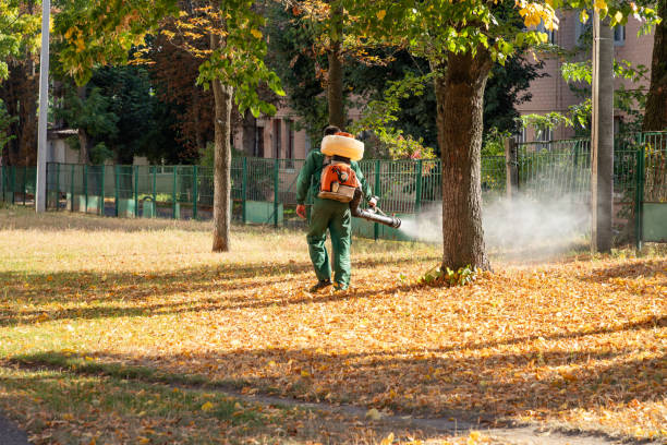 Best Affordable Pest Control Services  in Crawford, GA