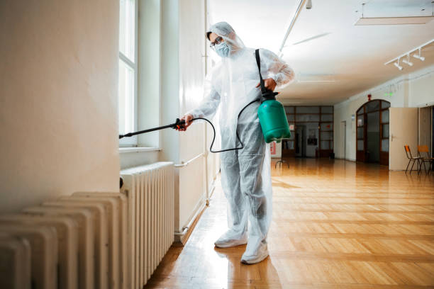Best Wasp Removal Services  in Crawford, GA