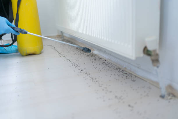 Best Affordable Pest Control Services  in Crawford, GA