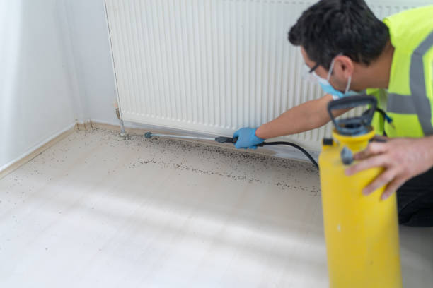 Best Best Pest Control Near Me  in Crawford, GA