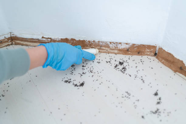 Best Bed Bug Extermination  in Crawford, GA
