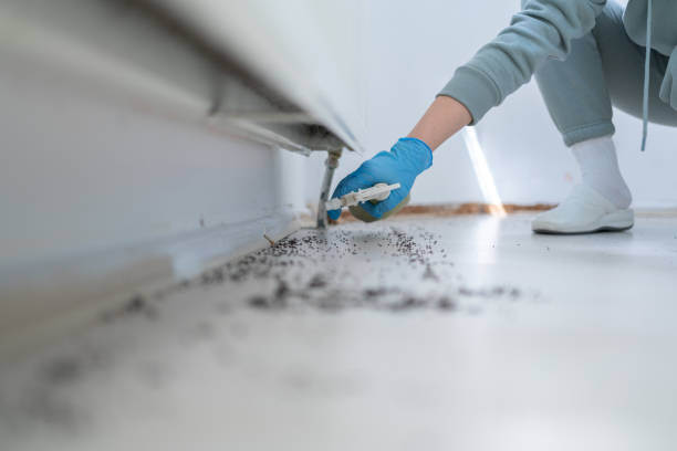Best Pest Inspection Near Me  in Crawford, GA